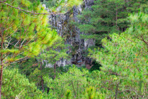 Sagada hanging coffins © Grassroots Travel