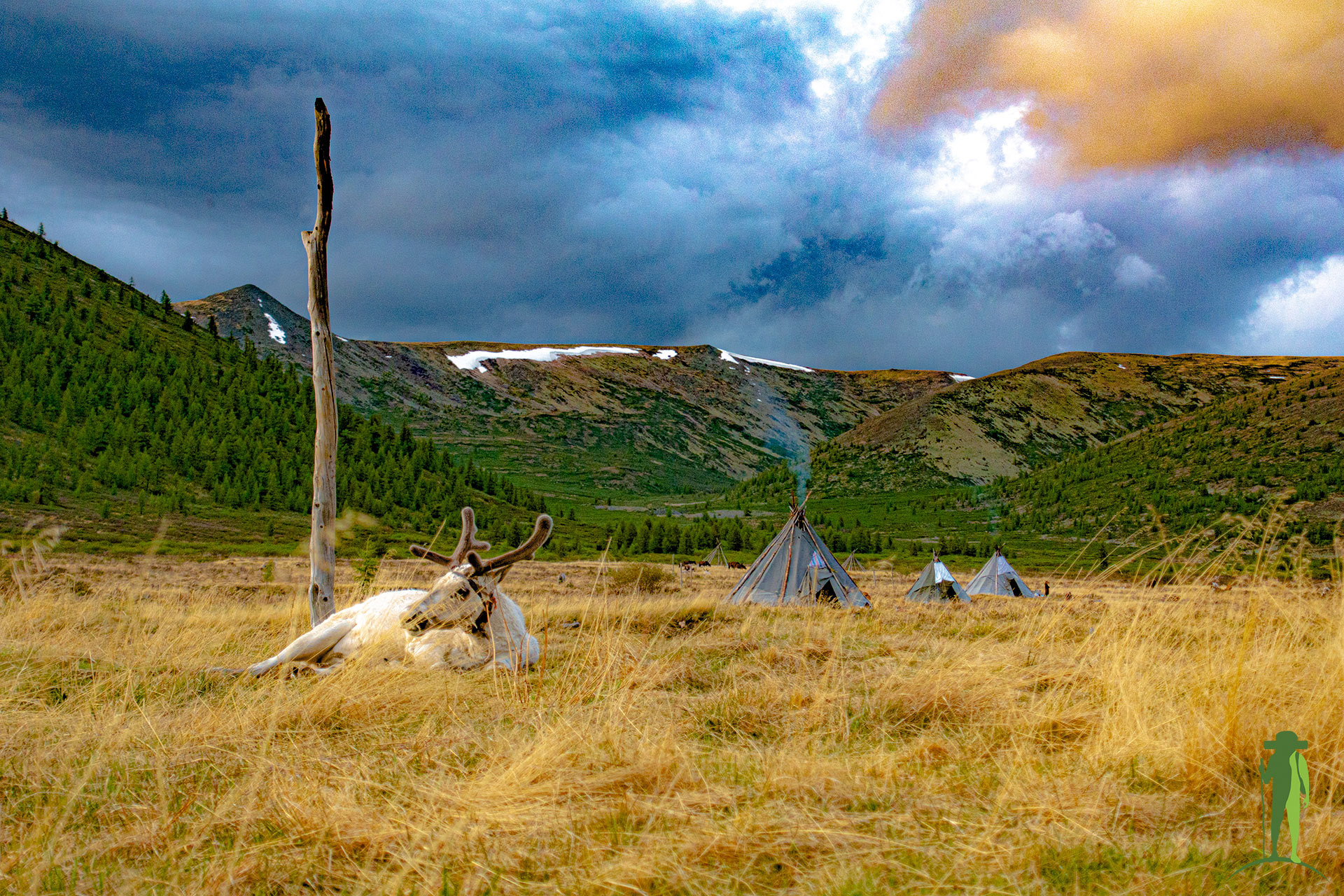 Reindeer People of Mongolia: Visit with Grassroots.Travel