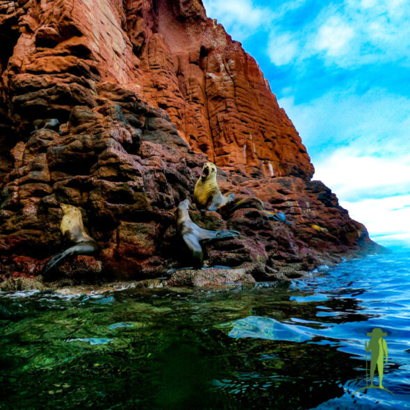 Crown Jewel of the Sea of Cortez experience © Grassroots Travel