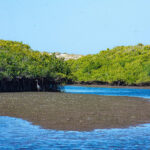 Mag Bay heron © Grassroots Travel