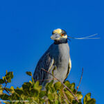 Birdwatching in Mag Bay © Grassroots Travel