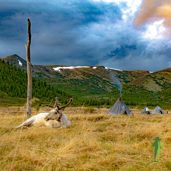 The Last of the Reindeer Herders experience © Grassroots Travel