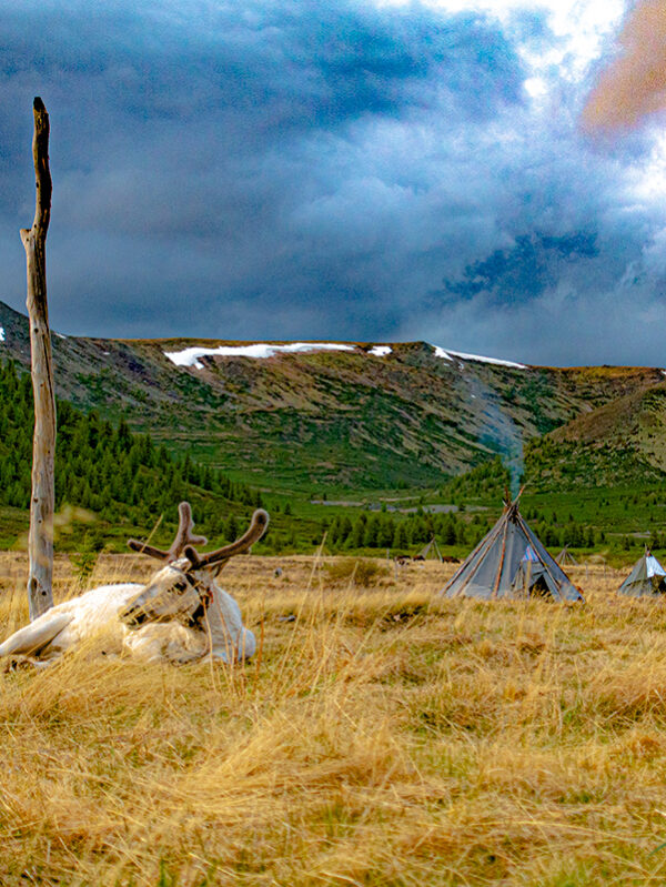 The Last of the Reindeer Herders experience © Grassroots Travel