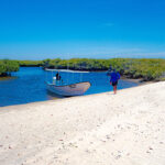 Mangrove tour in Magdalena Bay © Grassroots Travel